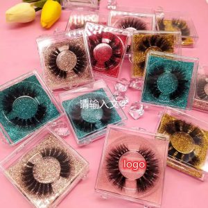 Lash Cases